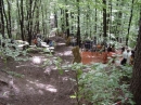 2020 DSC05795 Bechmann.JPG